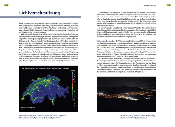 Fledermausschutz - Beispielseite